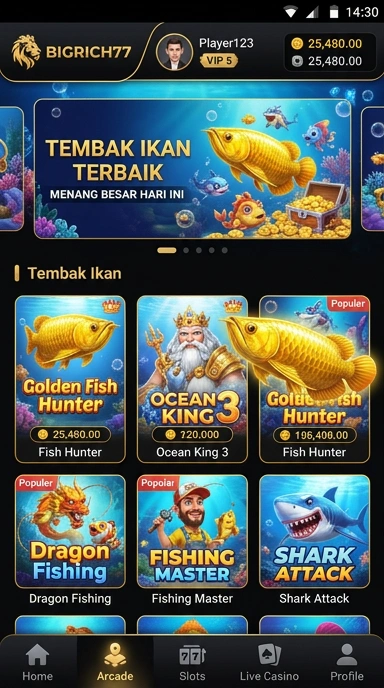 Tampilan katalog aplikasi yang informatif di bigrich77.